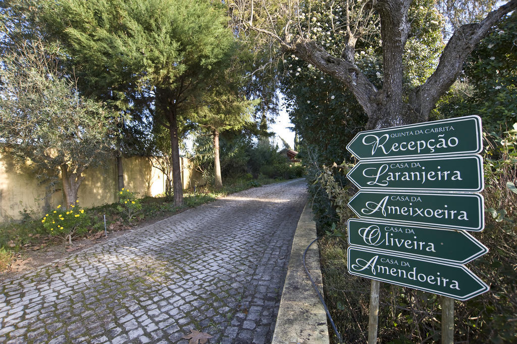 Quinta Da Cabrita Villa Santarem Bagian luar foto