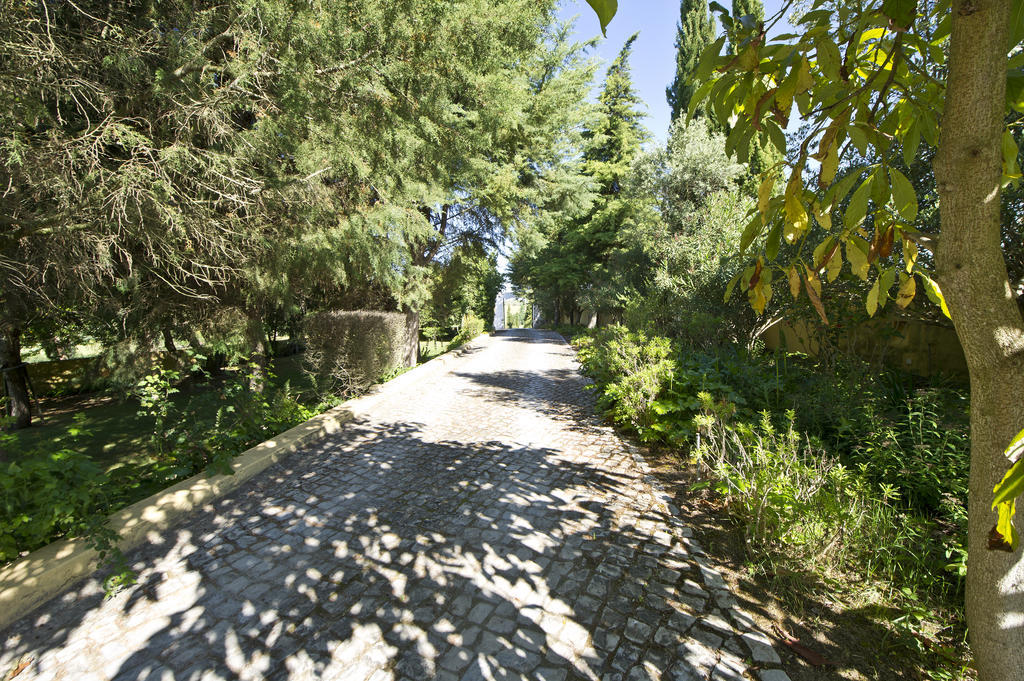 Quinta Da Cabrita Villa Santarem Bagian luar foto