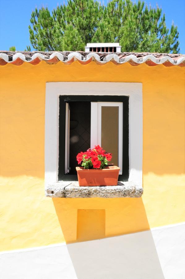 Quinta Da Cabrita Villa Santarem Bagian luar foto